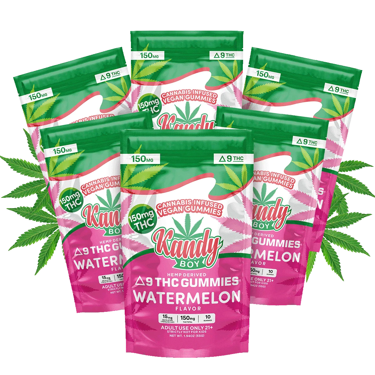 Watermelon Delta 9 Gummies | 6-Pack Bundle | 900mg